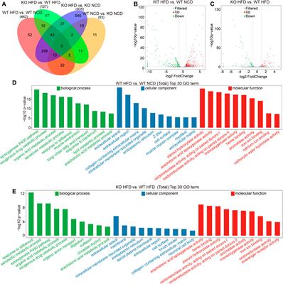 Multi-Omics Characterizes the Effects and Mechanisms of CD1d in Nonalcoholic Fatty Liver Disease Development